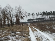 4 grudzień 2021