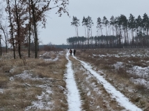 4 grudzień 2021