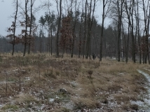 4 grudzień 2021