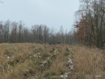 4 grudzień 2021