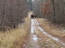 4 grudzień 2021