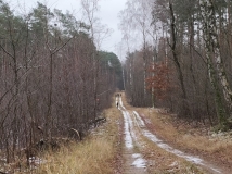 4 grudzień 2021