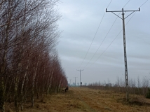 6 grudzień 2025