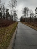 7 grudzień 2019