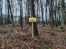 7 grudzień 2019