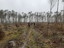 7 grudzień 2019