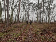 7 grudzień 2019