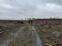 7 grudzień 2019