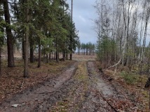 7 grudzień 2019