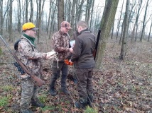7 grudzień 2019