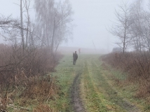 7 styczeń 2023