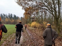 9 listopad 2019