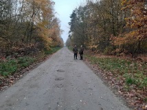 9 listopad 2019