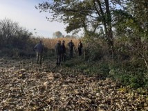 Demontaż elektrycznego pastucha
