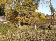 Demontaż elektrycznego pastucha