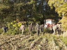 Demontaż elektrycznego pastucha