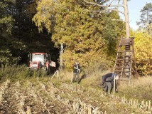 Demontaż elektrycznego pastucha