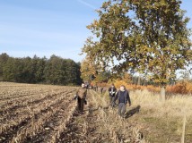 Demontaż elektrycznego pastucha
