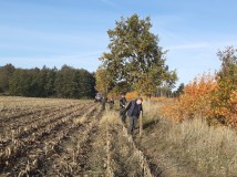 Demontaż elektrycznego pastucha