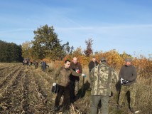 Demontaż elektrycznego pastucha