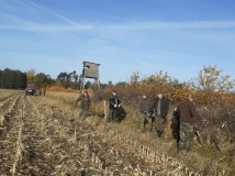 Demontaż elektrycznego pastucha