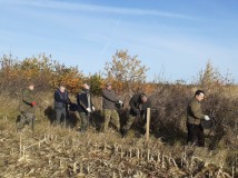 Demontaż elektrycznego pastucha