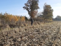 Demontaż elektrycznego pastucha