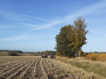 Demontaż elektrycznego pastucha
