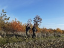 Demontaż elektrycznego pastucha