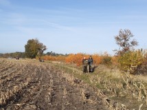 Demontaż elektrycznego pastucha