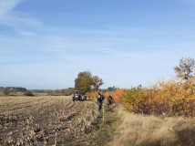 Demontaż elektrycznego pastucha