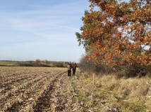 Demontaż elektrycznego pastucha