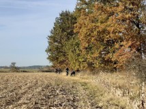 Demontaż elektrycznego pastucha