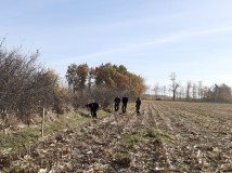 Demontaż elektrycznego pastucha