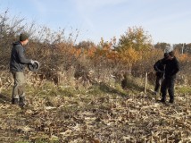 Demontaż elektrycznego pastucha