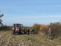 Demontaż elektrycznego pastucha