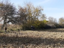 Demontaż elektrycznego pastucha