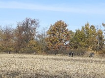 Demontaż elektrycznego pastucha