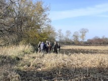Demontaż elektrycznego pastucha