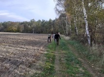 Demontaż pastucha elektrycznego