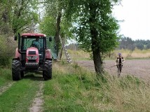 Grodzenie upraw kukurydzy