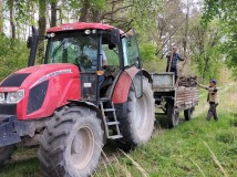 Grodzenie upraw kukurydzy