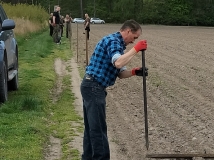 Grodzenie upraw kukurydzy