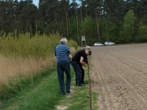 Grodzenie upraw kukurydzy
