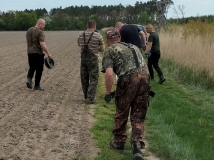Grodzenie upraw kukurydzy