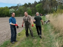 Grodzenie upraw kukurydzy