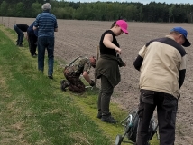 Grodzenie upraw kukurydzy