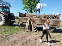 Grodzenie upraw kukurydzy
