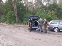 Grodzenie upraw kukurydzy