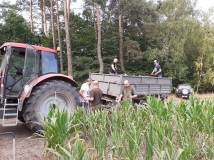 Grodzenie upraw kukurydzy